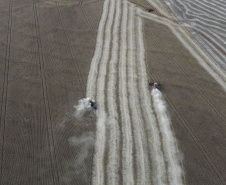 35 municípios do Paraná têm Valor Bruto da Produção Agropecuária superior a R$ 1 bilhão