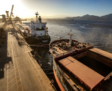 Exportação de soja pelos portos paranaenses cresce 4 vezes mais que a média nacional