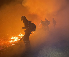 BOMBEIROS Volta da 2ª equipe encerra missão paranaense no Pantanal