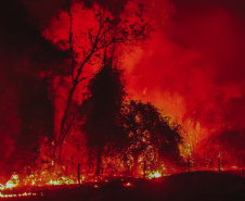 INCÊNDIO
