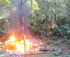  Instituto Água e Terra (IAT) e Batalhão de PolíciaAmbiental - Força Verde desmobilizaram um acampamento de caçadores quefuncionava dentro do Parque Estadual Pico do Marumbi.