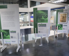 EXPOSIÇAÕ