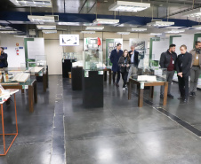 EXPOSIÇAÕ