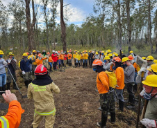 -Bombeiros voluntários do Programa de Incêndios na Natureza