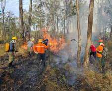 -Bombeiros voluntários do Programa de Incêndios na Natureza
