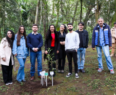 Servidores do escritório regional do IAT de Curitiba durante plantio de mudas no viveiro de São José dos Pinhais