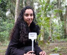 Servidores do escritório regional do IAT de Curitiba durante plantio de mudas no viveiro de São José dos Pinhais