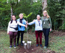 Servidores do escritório regional do IAT de Curitiba durante plantio de mudas no viveiro de São José dos Pinhais