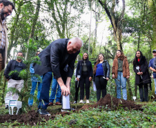 Servidores do escritório regional do IAT de Curitiba durante plantio de mudas no viveiro de São José dos Pinhais