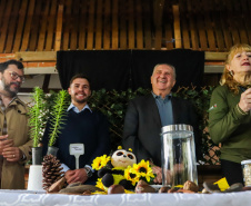 Servidores do escritório regional do IAT de Curitiba durante plantio de mudas no viveiro de São José dos Pinhais