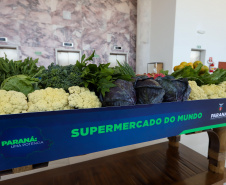 EMPRESÁRIOS