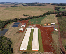 Suinocultor do Oeste do Paraná instala biodigestor e realiza o sonho de produzir com sustentabilidade