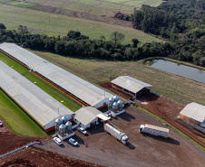 Suinocultor do Oeste do Paraná instala biodigestor e realiza o sonho de produzir com sustentabilidade