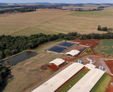 Suinocultor do Oeste do Paraná instala biodigestor e realiza o sonho de produzir com sustentabilidade