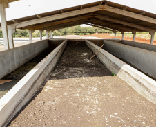 Suinocultor do Oeste do Paraná instala biodigestor e realiza o sonho de produzir com sustentabilidade