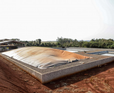 Suinocultor do Oeste do Paraná instala biodigestor e realiza o sonho de produzir com sustentabilidade