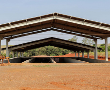 Suinocultor do Oeste do Paraná instala biodigestor e realiza o sonho de produzir com sustentabilidade