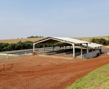 Suinocultor do Oeste do Paraná instala biodigestor e realiza o sonho de produzir com sustentabilidade