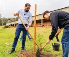 Em Irati, Educação lança projeto para o plantio de 40 mil mudas de árvores nativas