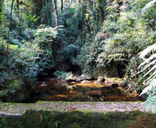 Piraquara, com os Rios Iraí e Iguaçu, recebeu R$ 29,85 milhões em repasse de ICMS Ecológico por Mananciais entre janeiro e agosto de 2024.