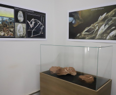 Vale dos Dinossauros: Cruzeiro do Oeste recebe título e destaca Paraná em turismo científico