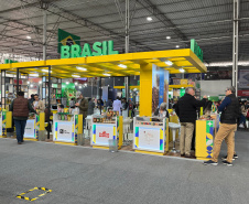 INVEST PARANÁ