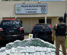 PMPR apreende 300 kg de agrotóxicos contrabandeados em Cruzeiro do Oeste