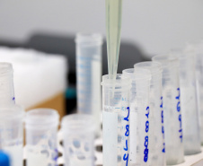 TECPAR ANALISE DE AGROTÓXICOS EM ALIMENTOS