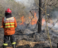 Curso de resposta a desastres prepara bombeiros do Paraná.