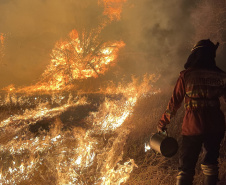Curso de resposta a desastres prepara bombeiros do Paraná.