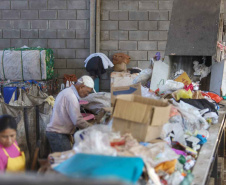 Governo do Paraná, em parceria com a multinacional SIG e Earthworm Foundation Brasil, busca melhorar as condições da cadeia de recicláveis no Estado