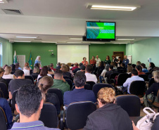 Saúde discute novas tecnologias para combate à dengue no Paraná