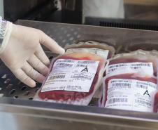 Hemocentro convoca população de Maringá e região a doar sangue