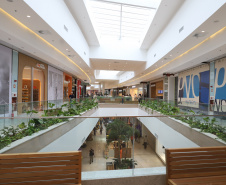 cascavel