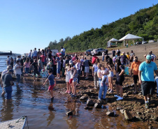 Novo ciclo do Rio Vivo vai soltar 2,6 milhões de peixes nativos nas bacias do Paraná