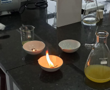 Jovens cientistas: alunos do Noroeste do Paraná conquistam prêmios da Fiocruz