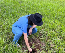 IAT vai recuperar quatro hectares de mata ciliar para comemorar o Dia do Rio