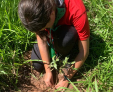IAT vai recuperar quatro hectares de mata ciliar para comemorar o Dia do Rio