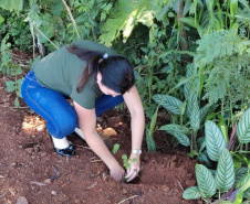 IAT vai recuperar quatro hectares de mata ciliar para comemorar o Dia do Rio