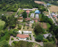 FLORESTA