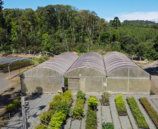 FLORESTA