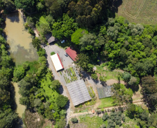 FLORESTA