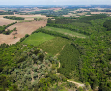 FLORESTA