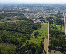 FLORESTA