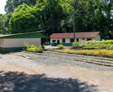 FLORESTA