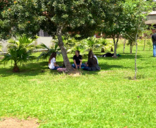 FLORESTA
