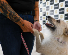 FILÓ