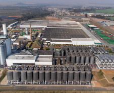 De bebidas a móveis: Paraná lidera crescimento da produção industrial em vários segmentos