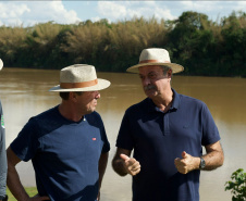 IAT - RIO VIVO