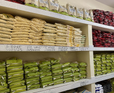 FUNDEPAR ENTREGA QUINTA REMESSA ALIMENTOS